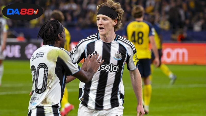 Thông tin giữa Newcastle vs Benfica mới nhất